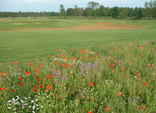 Gegenwärtig im Bau: die 9-Loch-Golfanlage in München-Germering, westlich von München; die Driving Range mit Rasenabschlägen ist bereits eröffnet worden; 3 Bahnen sind bereit zur Eröffnung; der gesamte neue 9-Lochplatz wird bald fertig sein.